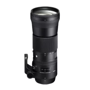 Sigma 150-600mm f/5-6.3 DG OS HSM