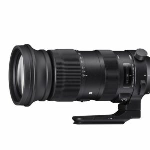 Sigma 60-600mm f/4.5-6.3 S DG OS HSM (Nikon)