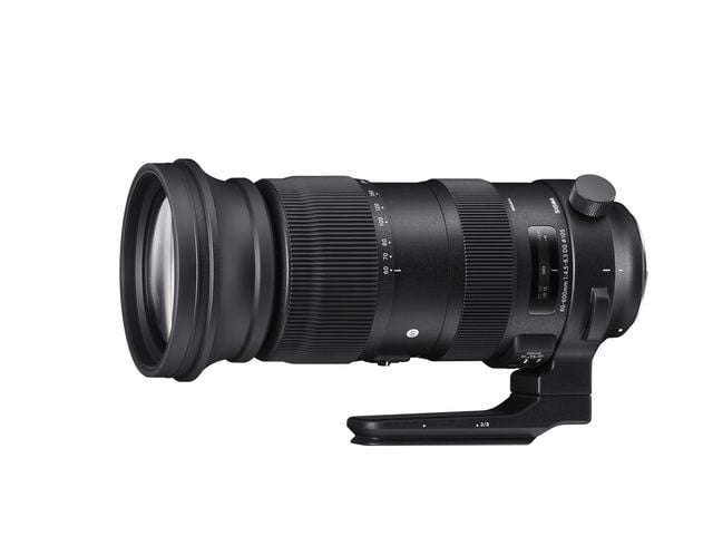 Sigma 60-600mm f/4.5-6.3 S DG OS HSM (Nikon)