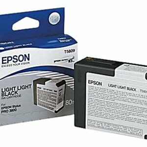 Epson väri T5809, light light black