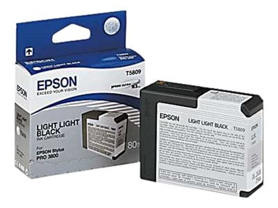 Epson väri T5809, light light black