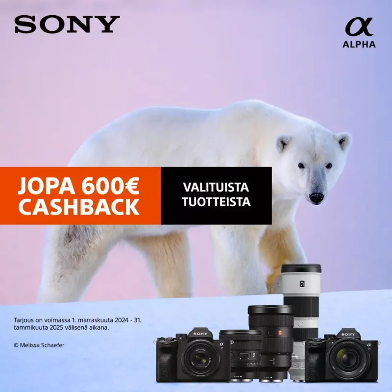 Sony Winter Cashback