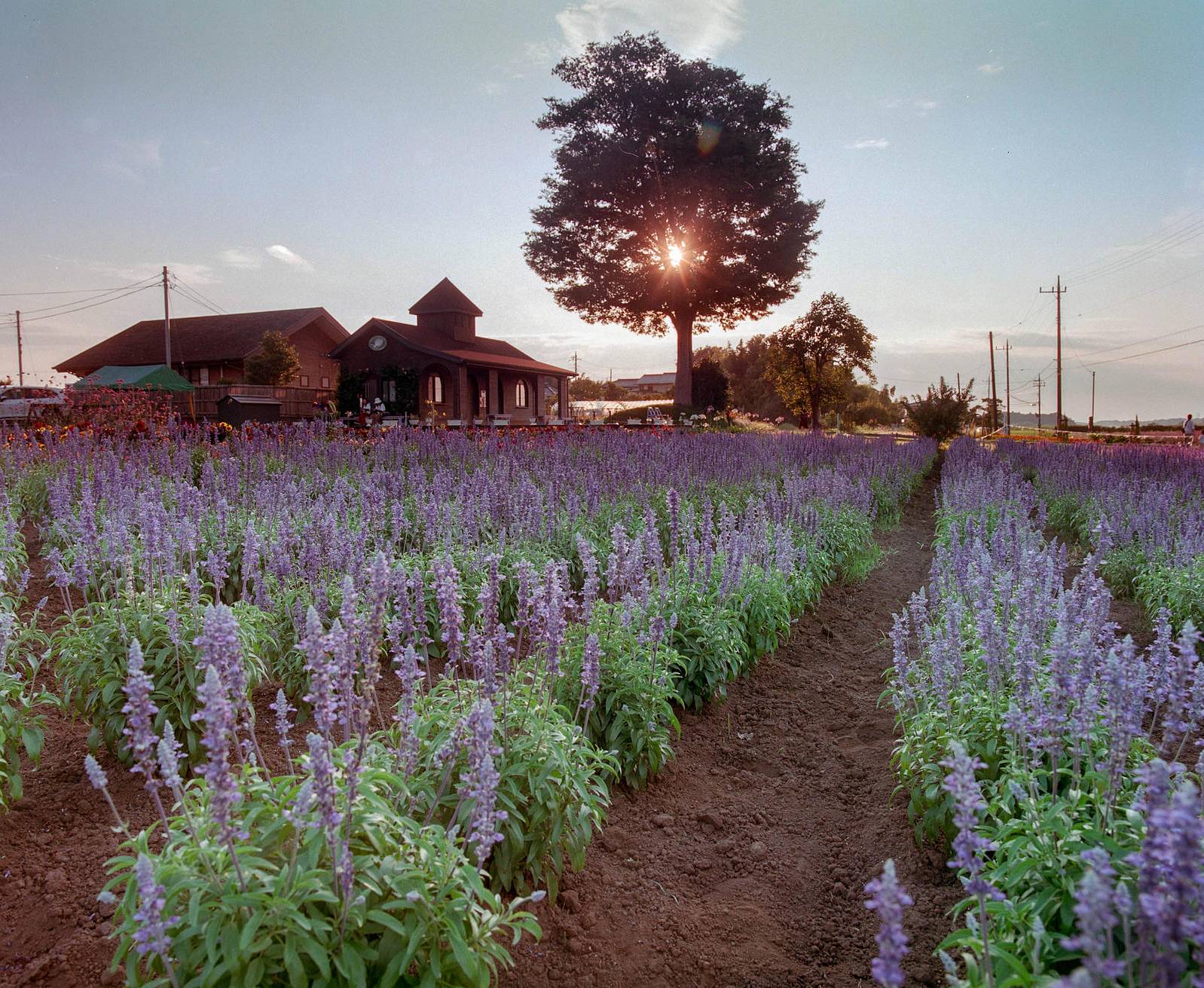 Photographer ienyamasaki