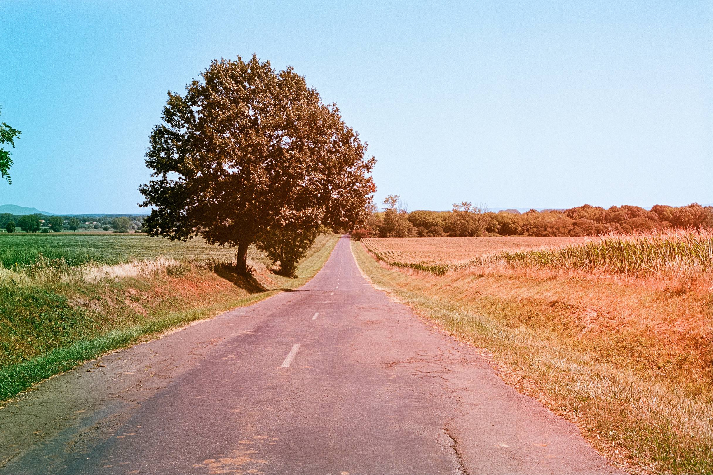 Photographer- markmiller