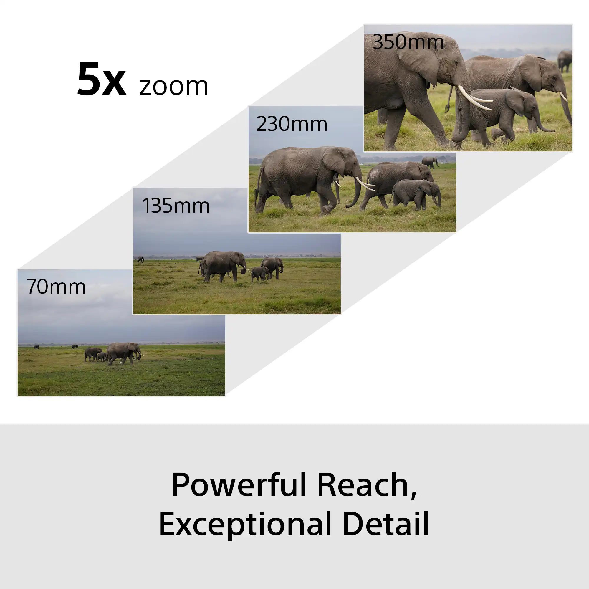 Sony A6700 Sony A6700